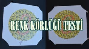 Polis-Asker-Bekçi Adayları İçin İshiara Kitabı Renk Körlüğü Testi