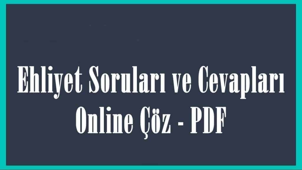 fikir birligi demokrasi anekdot 10 kasim ehliyet sinav sorulari ve cevaplari bilsanatolye com