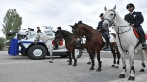 Atlı Polis Nasıl Olunur? Kimler Atlı Polis Olamaz?