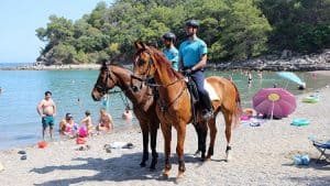 2023 Atlı Jandarma Nasıl Olunur? Görevleri Neler? Nerede Bulunur?