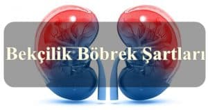 Bekçi Sağlık Raporu Aşamasında Böbrek Hakkında Tüm Şartlar Neler?