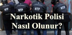 Narkotik Polisi Nasıl Olunur?
