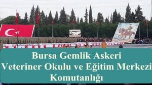 Bursa Gemlik Askeri Veteriner Okulu ve Eğitim Merkezi Komutanlığı Nerede – Nasıl Gidilir?