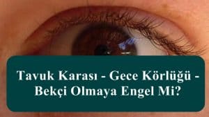 Tavuk Karası – Gece Körlüğü – Bekçi Olmaya Engel Mi?