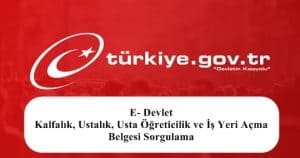 2023 E- Devlet Kalfalık, Ustalık, Usta Öğreticilik ve İş Yeri Açma Belgesi Sorgulama