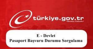 2023 E – Devlet Pasaport Başvuru Durumu Sorgulama