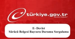2023 E- Devlet Sürücü Belgesi Başvuru Durumu Sorgulama