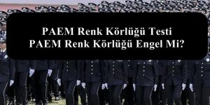 PAEM Renk Körlüğü Testi – PAEM Renk Körlüğü Engel Mi?