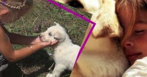 Hayvan Sevgisi ve Çocuklar Üzerindeki Olumlu Etkileri