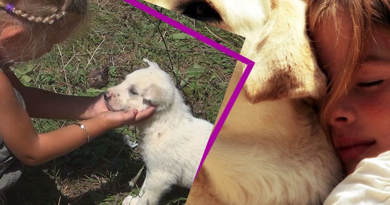 Hayvan Sevgisi ve Çocuklar Üzerindeki Olumlu Etkileri