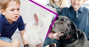 Hayvanlara Eziyet Eden Çocuklara Nasıl Davranılmalıdır?