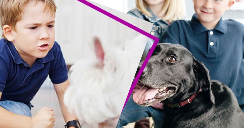 Hayvanlara Eziyet Eden Çocuklara Nasıl Davranılmalıdır?