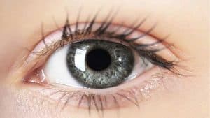 Göz Kuruluğu Nedir? Göz Kuruluğu Nasıl Geçer?