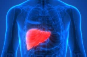 Hepatomegali – Karaciğer Büyümesi Polisliğe Engel Mi?