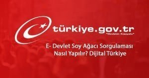 2023 E- Devlet Soy Ağacı Sorgulaması Nasıl Yapılır? Dijital Türkiye