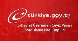 2024 E-Devlet Üzerinden Çeyiz Parası Sorgulama Nasıl Yapılır?