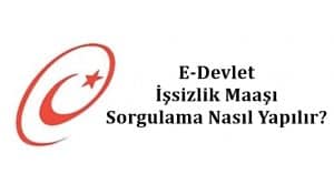2024 E-Devlet İşsizlik Maaşı Sorgulama Nasıl Yapılır?
