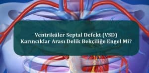 Ventriküler Septal Defekt (VSD) – Karıncıklar Arası Delik Bekçiliğe Engel Mi?