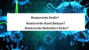 Hantavirüs Nedir? Hantavirüs Nasıl Bulaşır? Hantavirüs Belirtileri Neler?