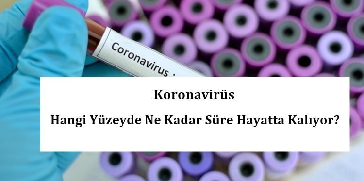Koronavirüs Hangi Yüzeyde Ne Kadar Süre Hayatta Kalıyor?