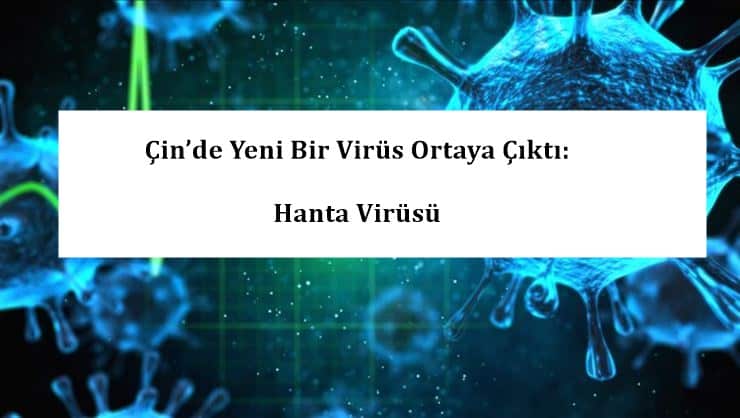 Çin’de Yeni Bir Virüs Ortaya Çıktı: Hanta Virüsü