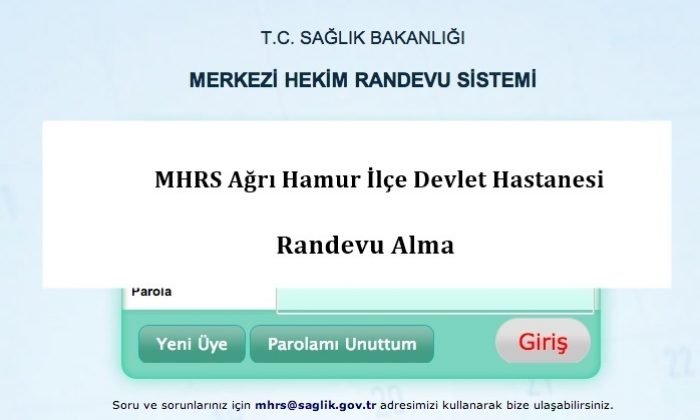 Mhrs Randevusu E Devlet Uzerinden Nasil Alinir Mhrs Randevu Girisi