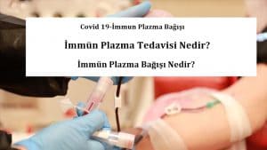 İmmün Plazma Tedavisi Nedir? Covid 19-İmmun Plazma Bağışı