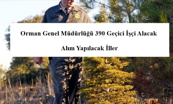 Orman Genel Mudurlugu 390 Gecici Isci Alacak Alim Yapilacak Iller