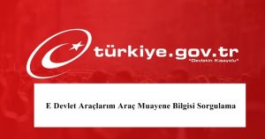 2023 E Devlet Araçlarım Araç Muayene Bilgisi Sorgulama Nasıl Yapılır? Dijital Türkiye