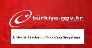 E Devlet Araçlarım Plaka Ceza Sorgulama Nasıl Yapılır?