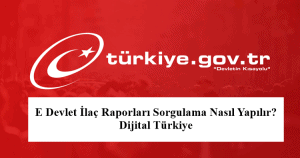 2023 E Devlet İlaç Raporları Sorgulama Nasıl Yapılır? Dijital Türkiye