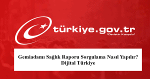 2023 E – Devlet Gemiadamı Sağlık Raporu Sorgulama Nasıl Yapılır?