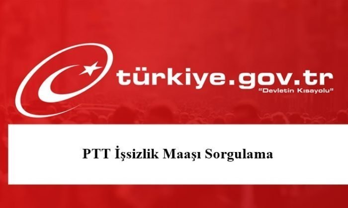 E Devlet Ptt Issizlik Maasi Sorgulama Nasil Yapilir Dijital Turkiye