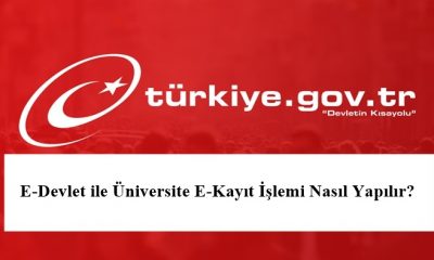 Ptt Ye Gitmeden E Devlet Sifresi Nasil Alinir Dijital Turkiye