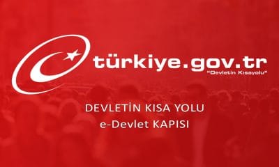 E Devlet Adima Tescilli Arac Sorgulama Nasil Yapilir Dijital Turkiye