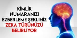 TC Kimlik Numarasını Ezberleme Şekli Zeka Türünüzü Gösteriyor. Hangi Zeka Türüne Sahipsiniz?