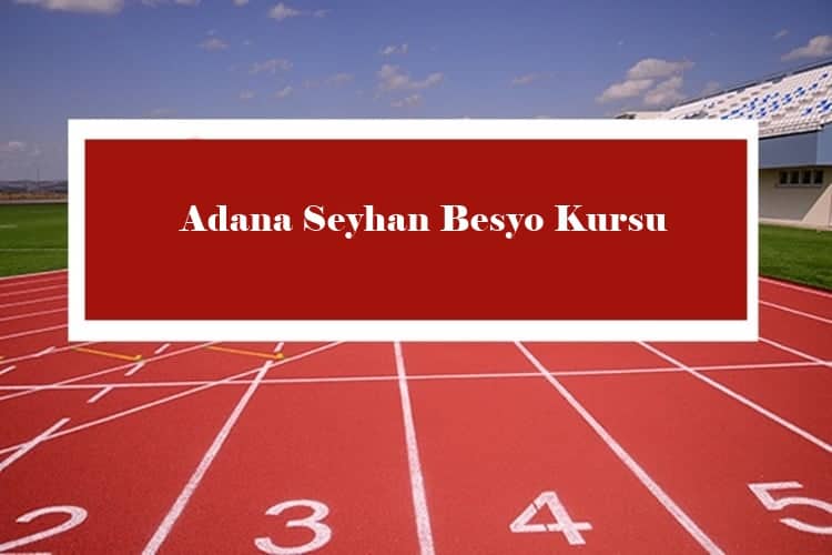 Adana Seyhan Besyo
