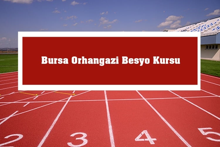 Bursa Orhangazi Besyo