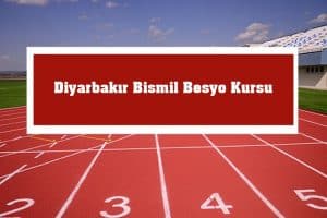 2023 Diyarbakır Bismil Besyo Kursu – Bismil Besyo Hazırlık Kursu