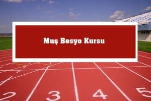 2023 Muş Besyo Kursu – Muş Besyo Hazırlık Kursu
