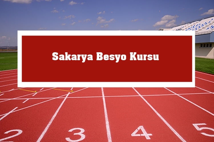 Sakarya Besyo