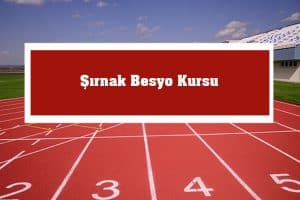 2023 Şırnak Besyo Kursu – Şırnak Besyo Hazırlık Kursu
