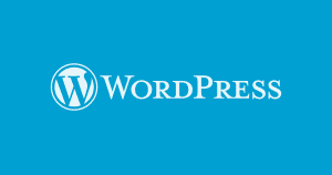 WordPress Tema Adı Bulma – Tema İsmi Nasıl Öğrenilir?