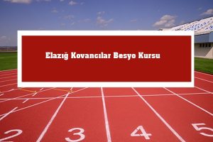 2023 Elazığ Kovancılar Besyo Kursu -Kovancılar Besyo Hazırlık Kursu