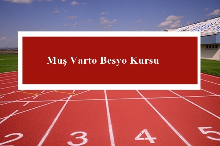 Muş Varto Besyo Kursu – Varto Besyo Hazırlık Kursu