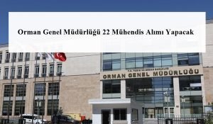 Orman Genel Müdürlüğü 22 Mühendis Alımı Yapacak