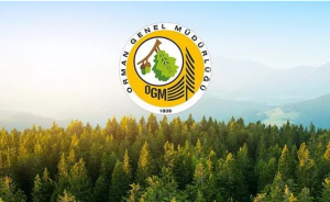 Orman Genel Müdürlüğü 338 Sözleşmeli Personel Alacak