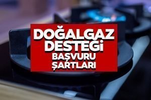 Ev Sahipleri de Kiracılar da Başvurabilecek: 2500 TL Doğalgaz Yardımı Başvurusu Başladı