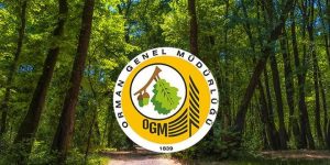 2022 Yılı 249 Sözleşmeli Mühendis (Orman Mühendisi) Alım İlanı