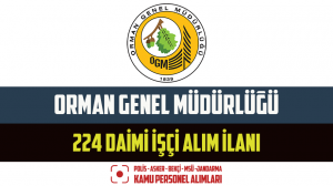 Orman Genel Müdürlüğü İŞKUR Üzerinden 224 Daimi İşçi Alım İlanı Yayımladı